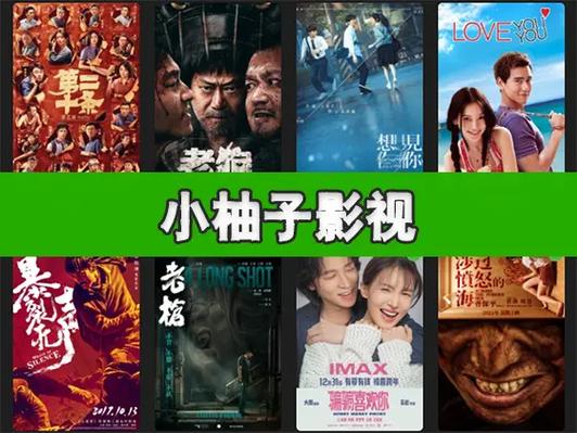 小柚子影视app免费看电视剧游戏截图