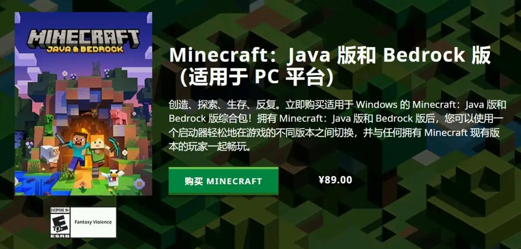 我的世界标准版多少钱