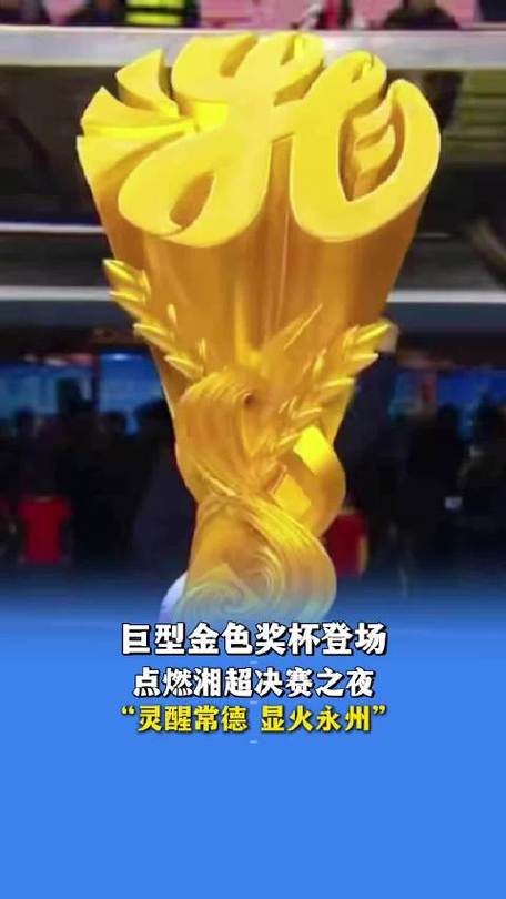 巅峰赛全国第一