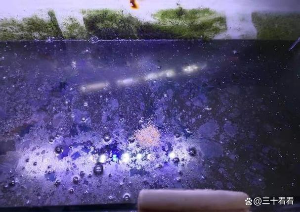 鱼缸显示屏坏了能修吗缩略图