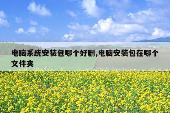系统桌面安装包缩略图