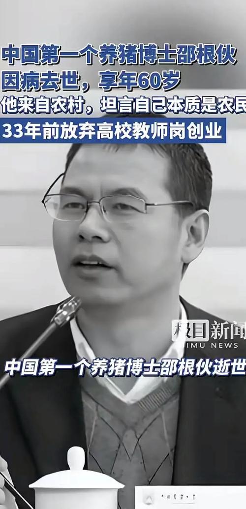 pig猪猪币创始人游戏截图