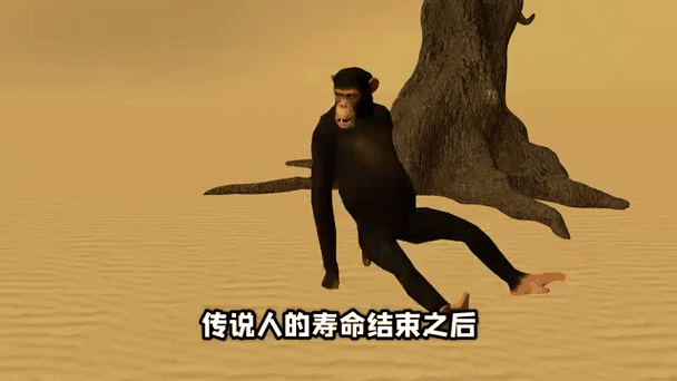 狒狒和小弟的全集