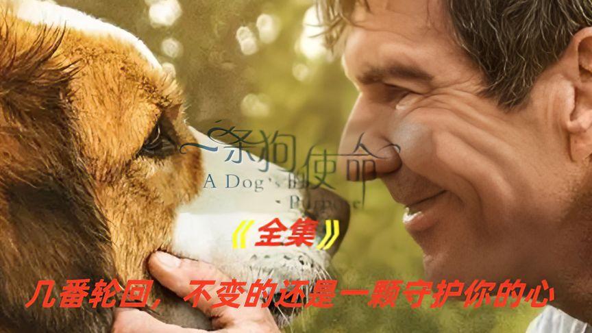 你的世界有很多人而我的世界只有你缩略图