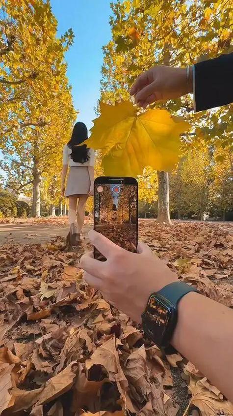 手机如何拍出高清晰照片缩略图