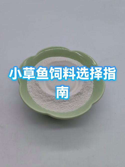 十大最佳小型鱼饲料