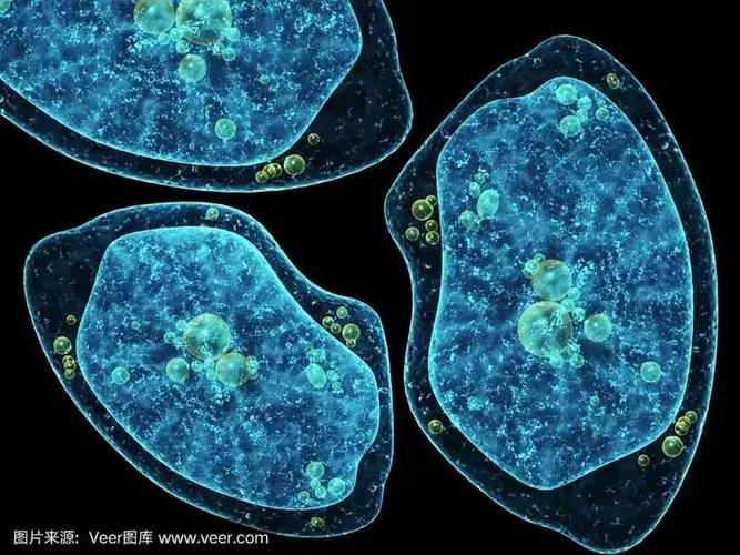 单细胞生物是