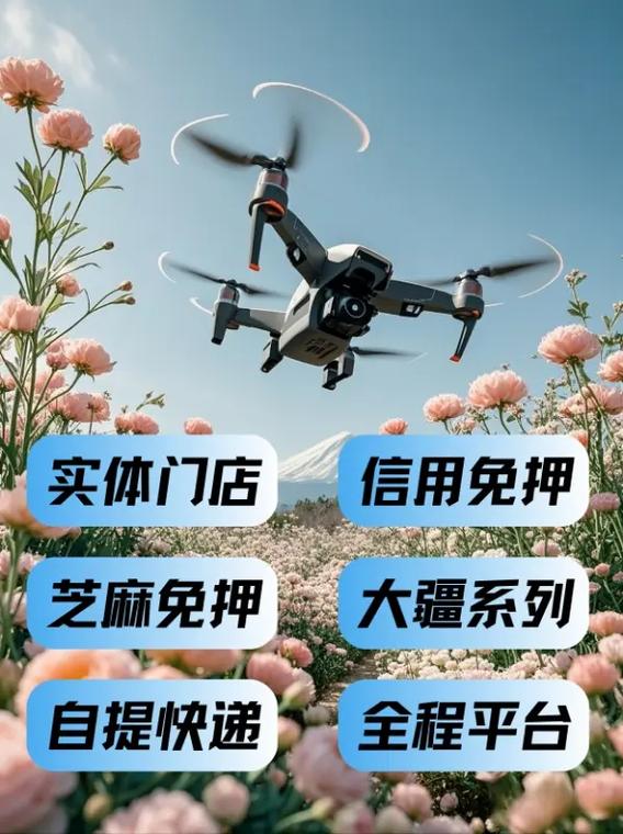 租赁无人机去哪个平台缩略图