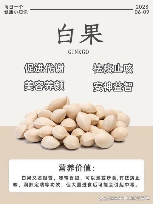 白果的功效与作用缩略图