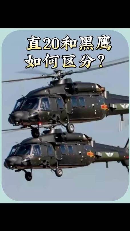 黑鹰代表什么意思缩略图