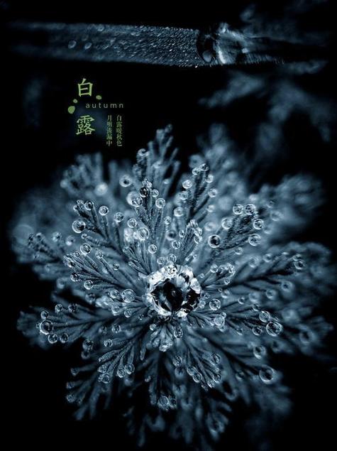轻颜相机的水印怎么去掉已经拍了