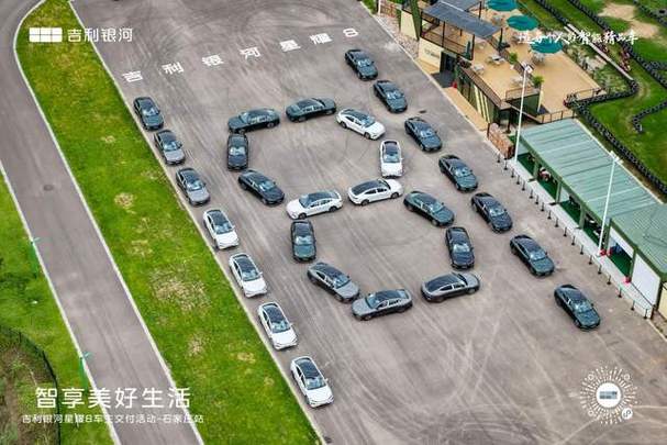 watch应用下载