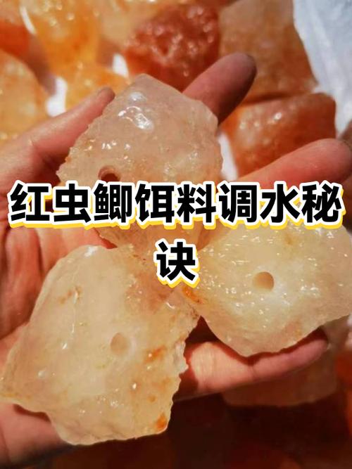 为什么红虫是最好的鱼饵