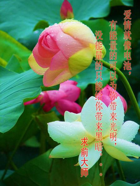 iMessage文字手机壁纸