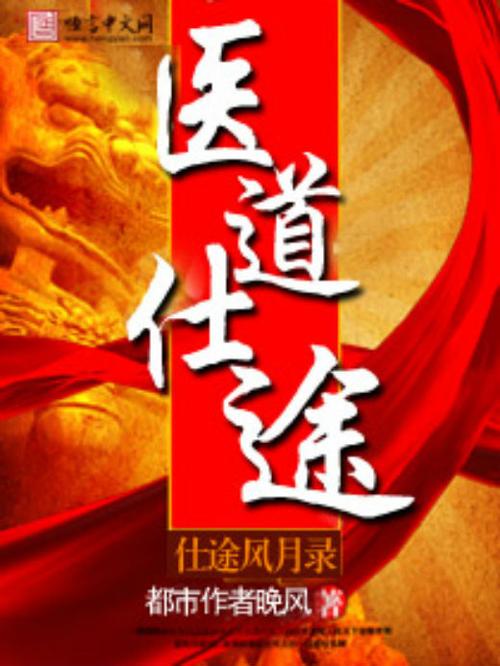 以医道进入仕途的都市小说