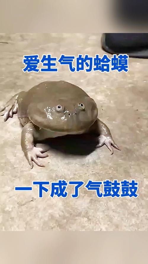 气鼓鼓表情包图标