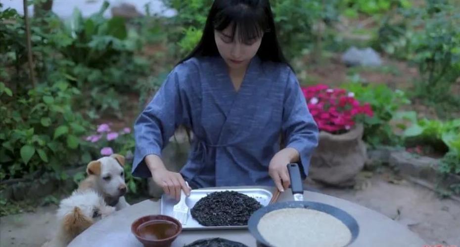 2018李子柒视频全集布缩略图