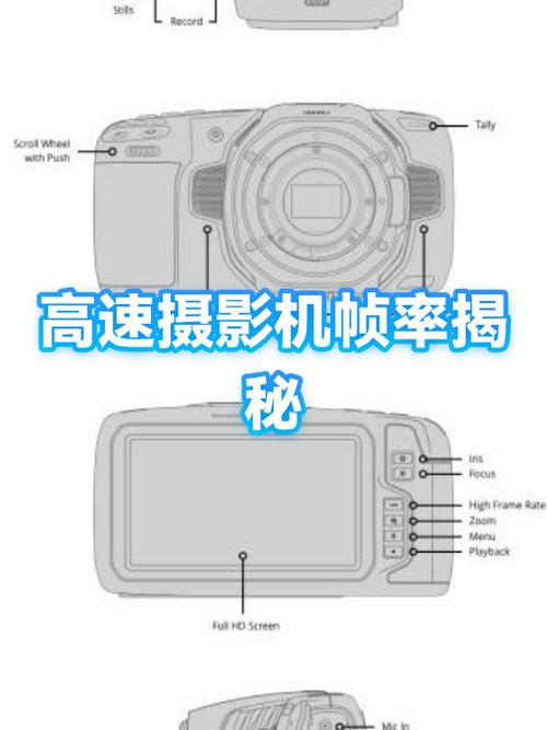 oppok9王者能开多少帧图标