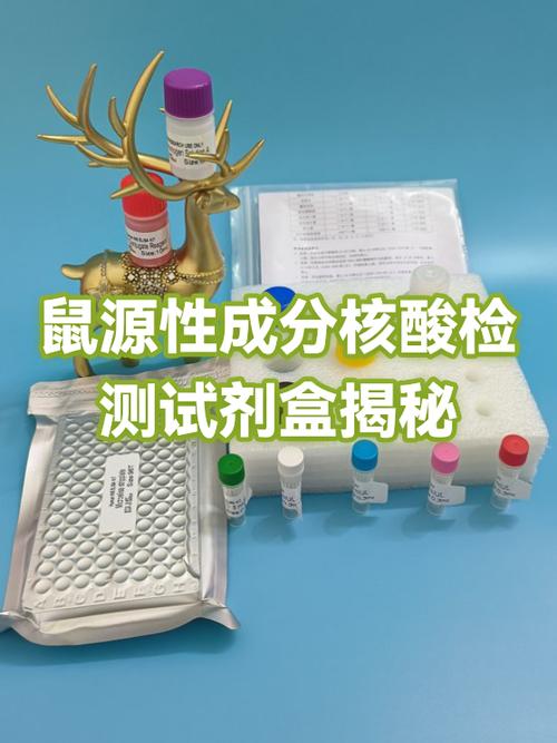 核酸检测检测的是什么核酸游戏截图