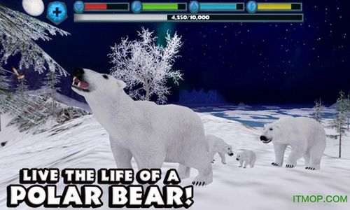 北极熊模拟器PolarBears游戏截图