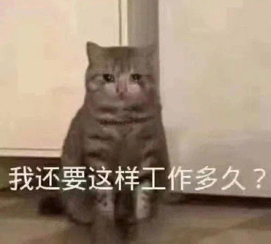 我还要这样工作多久表情包