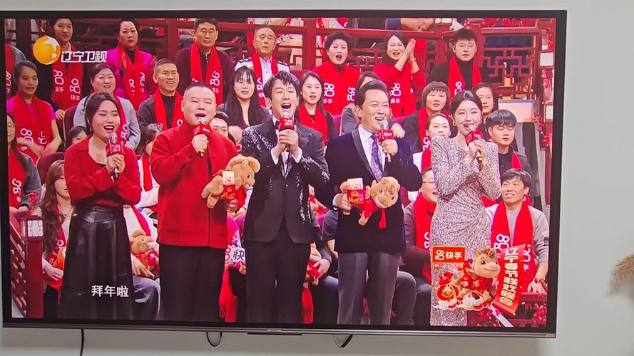 辽宁晚会直播