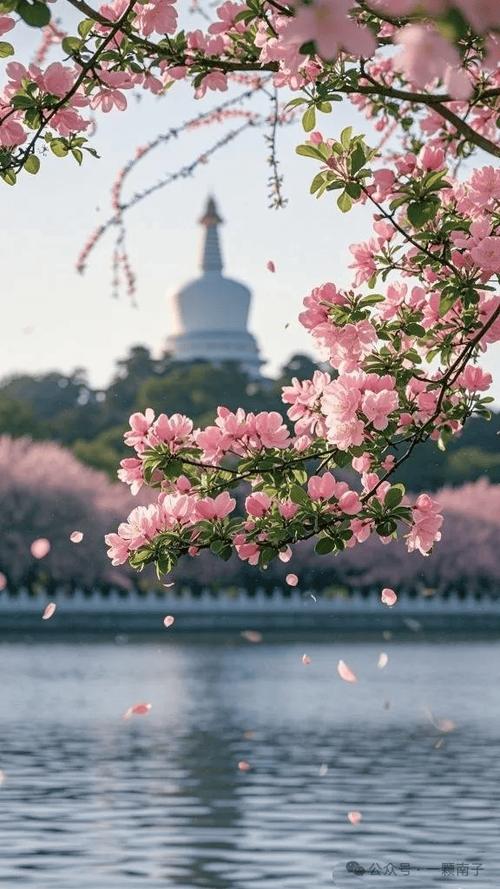 春风图片唯美意境缩略图