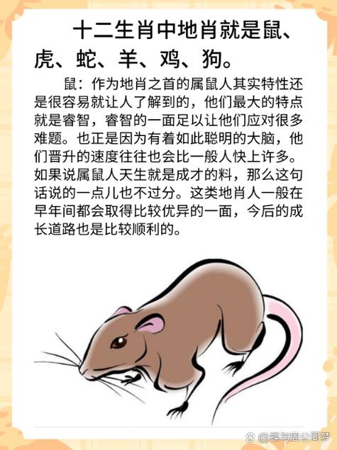 地肖最正确答案一肖游戏截图
