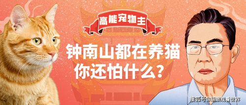 钟南山建议养猫缩略图