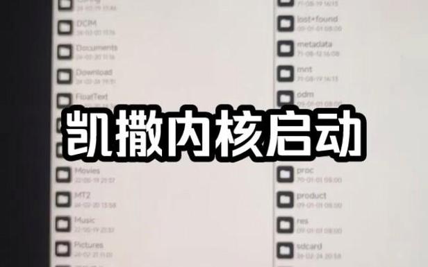 凯撒内核直装3.9免费缩略图