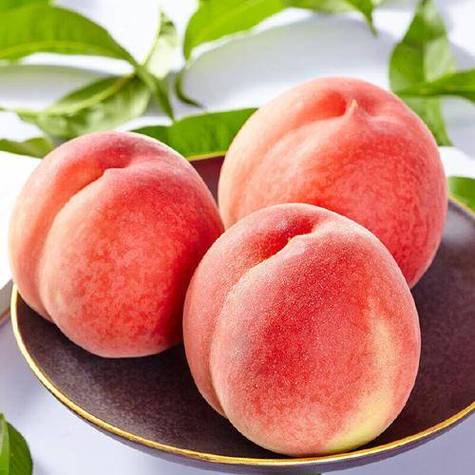 水蜜桃子老六多大了图标