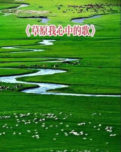 草原我心中歌原唱在线听