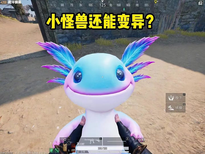 和平精英精卫直装卡密缩略图