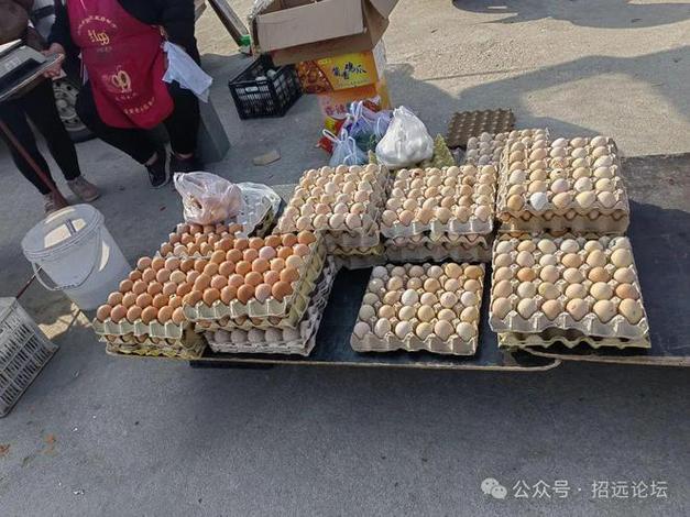 为何没人摆地摊卖鸡蛋