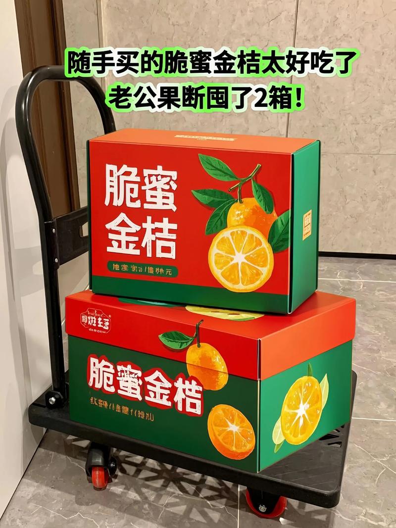 小橘子直装免卡密游戏截图