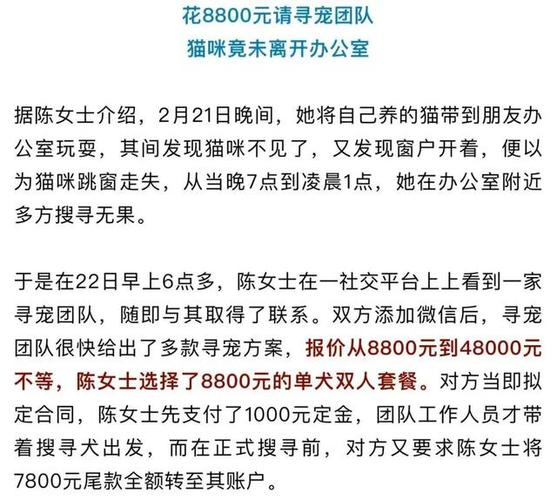 寻猫团队大概多少钱缩略图