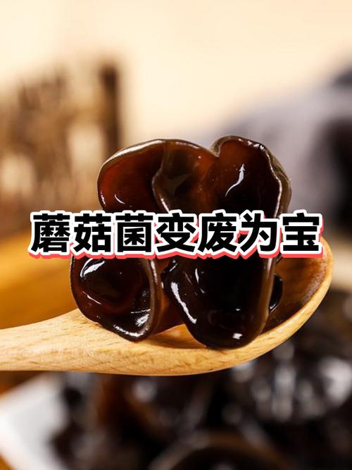 蘑菇菌种怎么才能长出蘑菇游戏截图