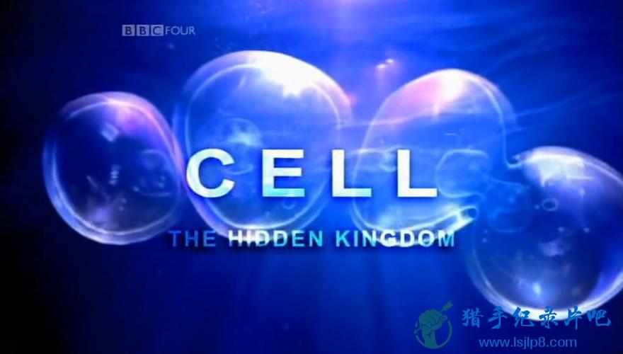 bbc纪录片the cell