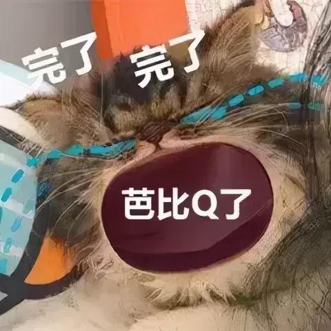 芭比的含义是什么意思