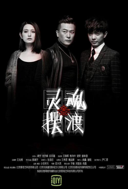 电视剧灵魂摆渡在线观看图标