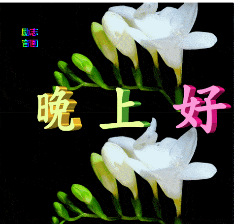 大家晚上好动态图片表情带字缩略图