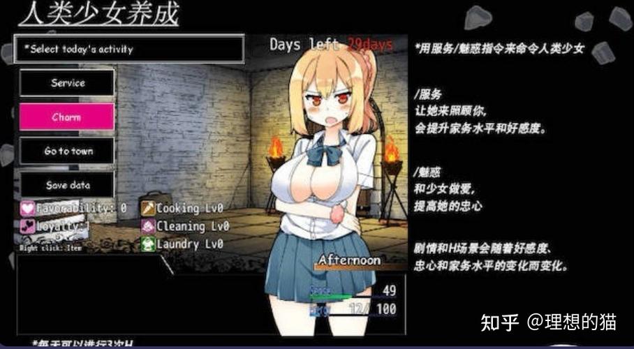 galgame冷狐版和正版区别图标