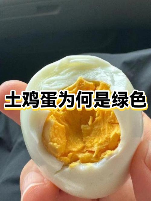 绿壳蛋好还是土鸡蛋好游戏截图