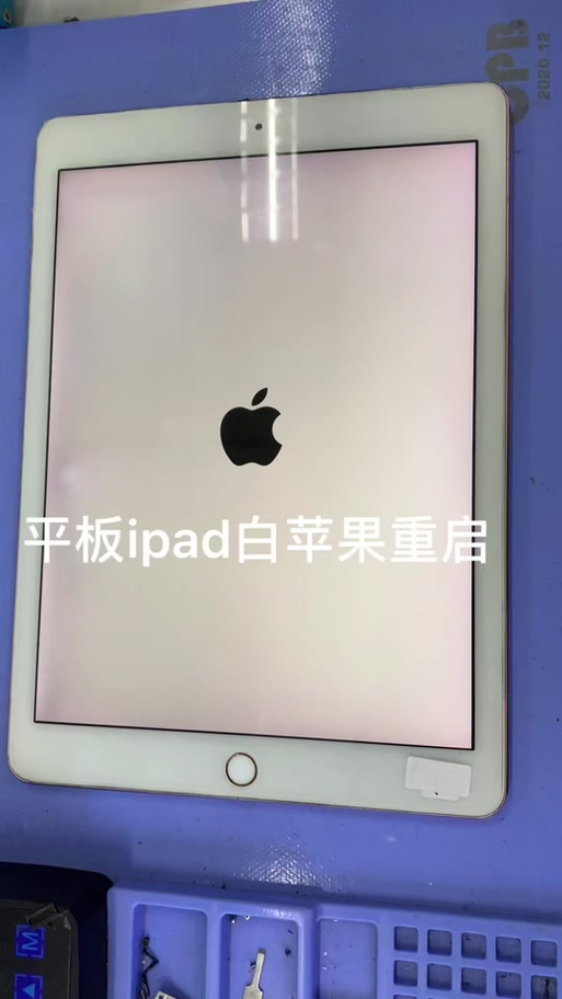ipad开机一直显示白苹果缩略图