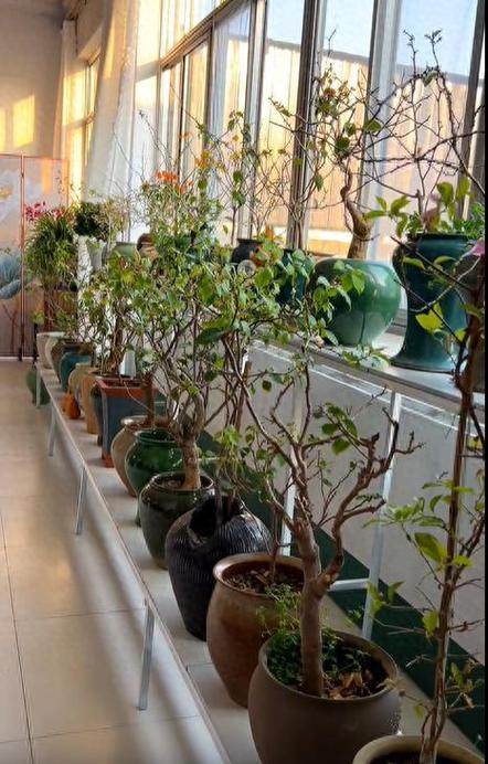 零零花app下载缩略图