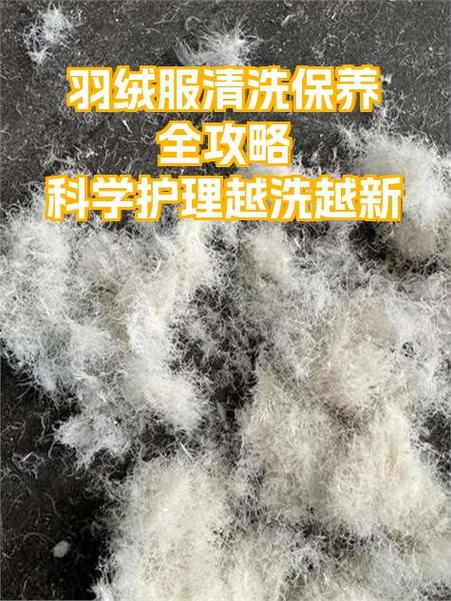 羽绒服甩干后怎么处理图标