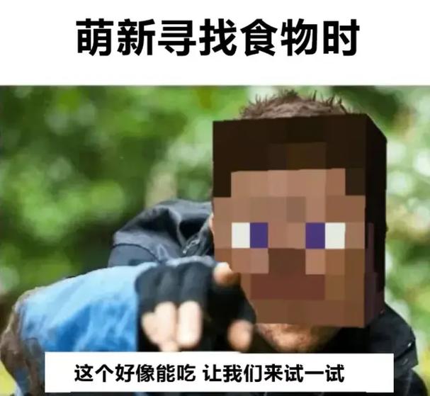 我的世界有你的出现图标