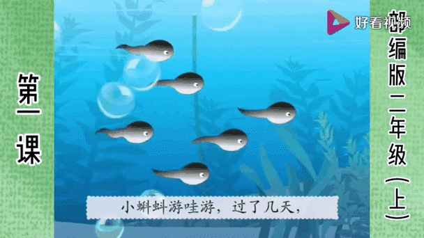 小蝌蚪游游游