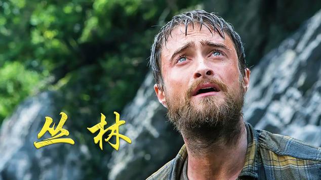 台湾电影《丛林》缩略图