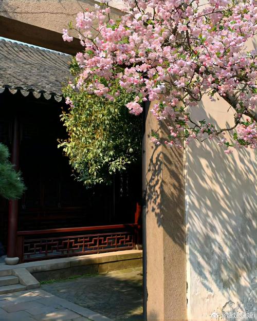 花开并蒂御书屋游戏截图